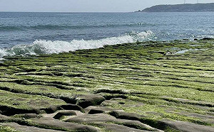 遊客注意！北海岸「老梅綠石槽」別亂踩 北觀處今年首開罰5000