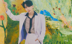 SEVENTEEN淨漢確診新冠 公司：暫時中止參加團體行程