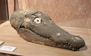 新幾內亞鱷魚出沒新北十三行！ 部落面具超吸睛