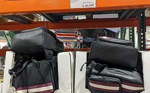 好市多精品後背包賣破萬！內行竊笑