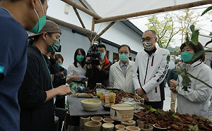 新北綠色療癒山城新品牌「茶山繚療」 推五感體驗坪林茶山之美