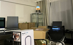 跳台被撤走！貓在櫃子上怒臉瞪視