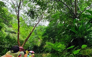 新北響應世界地球日 以行動守護家山