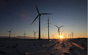 亞馬遜投資環保產業！將新增37個項目增加30%再生能源產能