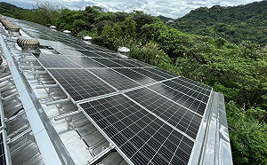 防中國製太陽能模組「洗產地」入台 經濟部加強查緝：最重廢止執照