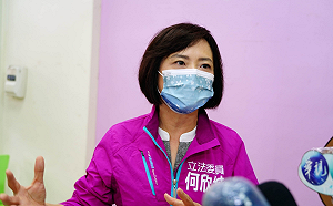 未獲徵召選民失望 何欣純：支持蔡其昌 團結才能贏
