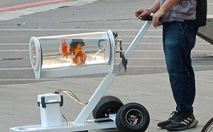 大街撞見遛魚神人！超狂身分被認出