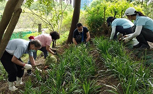 改善邊坡土石流失 新北新莊塭仔底濕地生態滯洪池換新貌