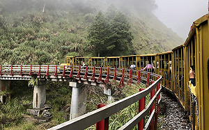 「奈格」颱風恐轉中颱！太平山10/29中午預警性休園
