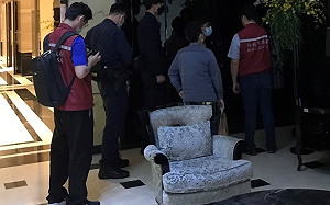 私售1隻家貓幼嵬  新北動保處重罰馬國人13萬元