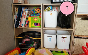 黑貓混入玩具櫃！1歲娃見牠無反應