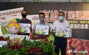 高雄首選秘境紅蜜蓮霧 創新農法孕肓超過想像力口感