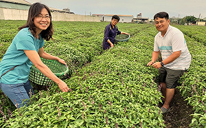 母親節籲返鄉拚百萬年薪  樸作良食公開徵求契作戶