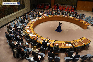 捷克通過挺台動議! 支持台灣參與國際組織反對北京扭曲2758號決議