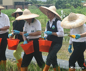 燒稻草占空污3% 李應元化身農夫推腐化菌