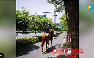 有人挑扁擔、有人騎馬來! 上海限時買糧食還不能開車 遭酸 : 鄉下趕集?