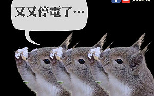 「停電、媒體、黨內亂象頻傳」她問：「蔡EE」妳在哪裏?