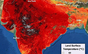 攝氏60度高溫! 122年極端熱浪炙烤印、巴15億人 專家：考驗人類生存極限