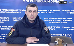 專訪中直接開睡！烏克蘭護國神犬累到度估 可愛模樣融化網友