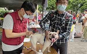 與動物之家毛孩同慶母親節　新北動保處辦認養活動