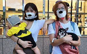 崩潰嘶吼「鄧福如叉子咧」！HowHow隔離神創作引網爆笑