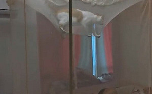 防蚊紗也防貓！牠跳近躺主人頭上