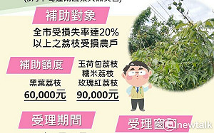 荔枝雨害災損救助17日起申請  黃偉哲籲農戶儘速申請