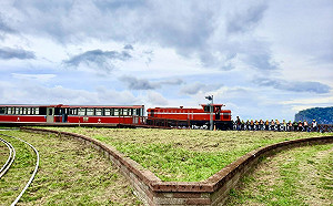 鐵道迷注意！疫情升溫 阿里山森林鐵路停駛部分班次