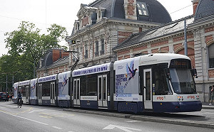 台灣藍鵲現身日內瓦！71國力挺「觀察」WHA 台灣不缺席