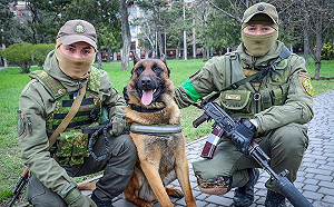 棄暗投明！前俄戰犬變身掃雷犬 萌當Patron同事