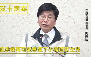 台灣出現首例本國籍43歲女性染茲卡個案