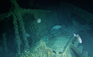 直擊二戰遺跡！美「勇氣」深海探險 見「受害者和侵略者並排躺著」