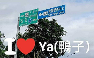 養鴨中心譯成「yangya」 宜蘭英文路標「duck不必」 鬧笑話