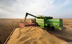 新危機！烏糧「塞倉」 全球糧食危機恐將持續至2023春季