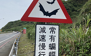 保護保育類動物 新北首創當心食蟹獴標誌牌面