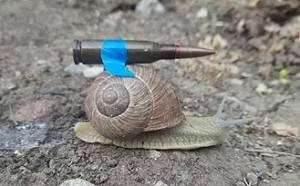 曾罵蕭茲「豬肝腸」又貼蝸牛揹子彈圖「辱德」的烏克蘭大使道歉了