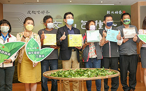 疫起喝好茶 新北包種茶上市好禮三重送
