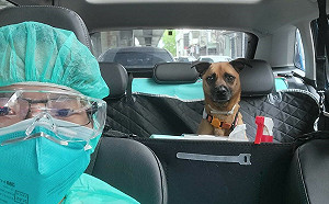 新北護動保推多項全國首創政策 籲中央速定寵物殯葬專法