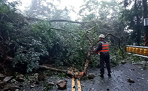 連日豪雨!北宜公路落石坍塌.樹倒 雙向封閉搶修