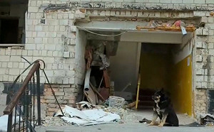 俄烏戰爭家園被毀！忠犬守門不離開