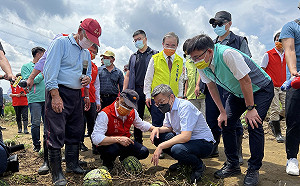 5月梅雨農損嚴重！農委會：全台總計損失1514萬元