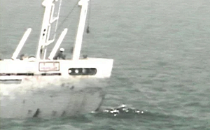 換總統也不能改善日、韓關係? 韓調查船竹島周邊活動 遭日強烈抗議