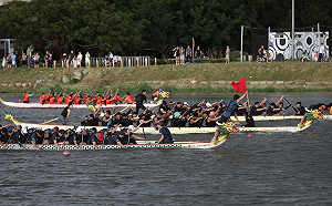 新北市議長盃第十二屆龍舟錦標賽 微風歡慶端午