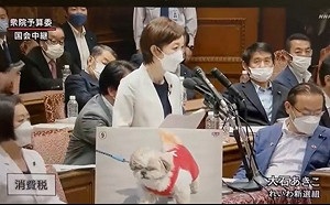 岸田稱不降低消費稅 日議員掏出「狗照片」批：資本家的狗！