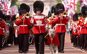 英女王登基慶祝活動登場 70年來首次缺席皇家閱兵儀式
