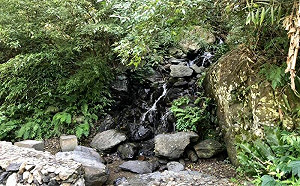 烏來娃娃谷傳意外！男子墜谷命危