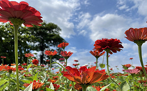 國旅太熱門！住房補助亮紅燈 觀光局：9/8使用完畢