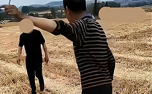 荒唐至極！中國疫情亂象 河南麥農收割竟得出示核酸證明