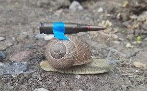 專門派來罵人的？烏大使第3度辱德 稱拒給舊武器是載入史冊的恥辱