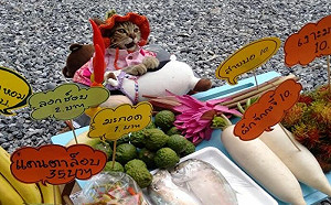 貓老闆擺攤！每天換造型：快來光顧